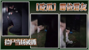 强奸捡尸视频